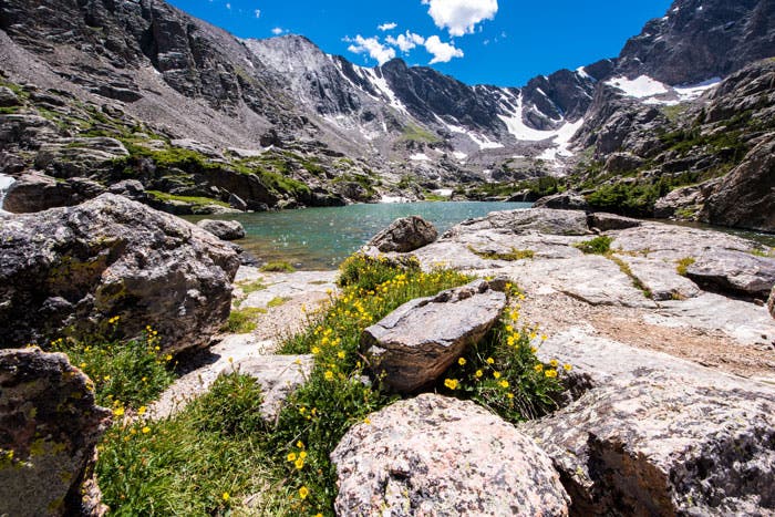 Wildflowers at Glass Lake in Rocky Mountain National Park