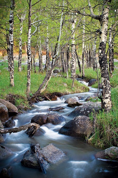 Beaver-Meadows-Stream_ErikStensland_500x750 Stream in Beaver Meadows in Rocky Mountain National Park