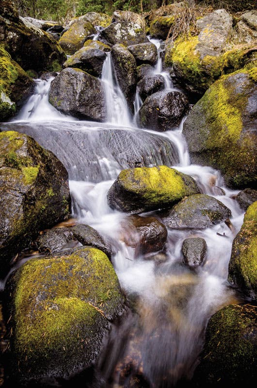 Stream on East Longs Peak Trail