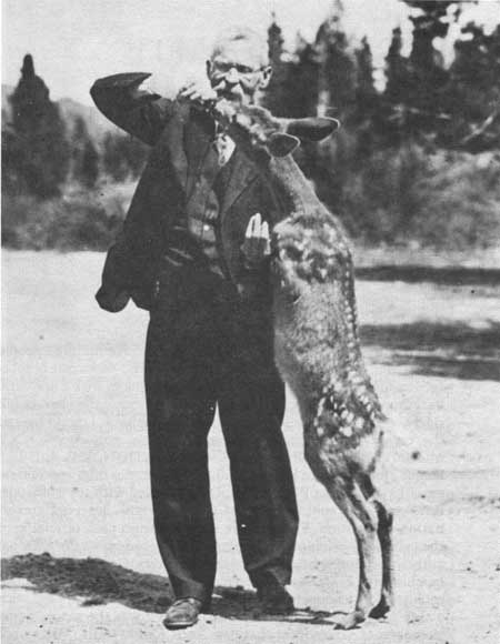 Abner Sprague feeding a deer