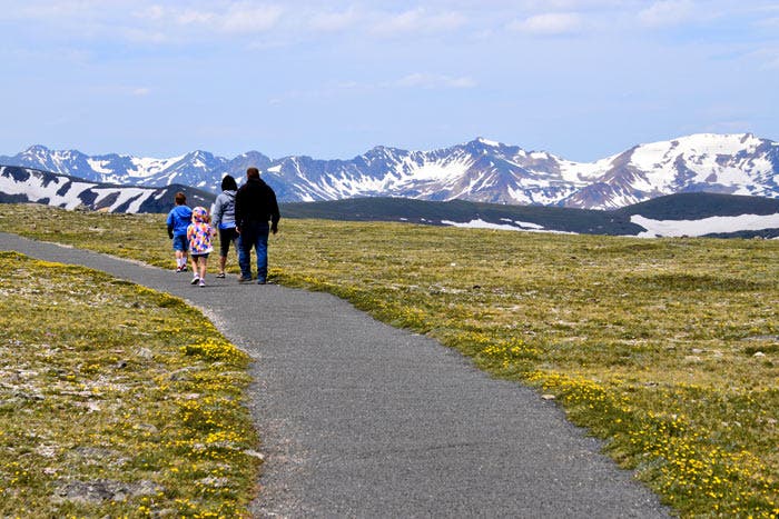 Family hiking on the Tundra Communities Trail in Rocky Mountain National Park
