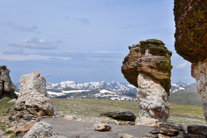 Toadstools on the Tundra Communities Trail in Rocky Mountain National Park