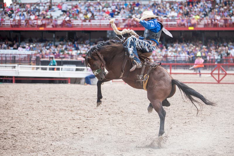 Rodeo-horse_CheyenneFrontierDays_800 Cheyenne Frontier Days Rodeo