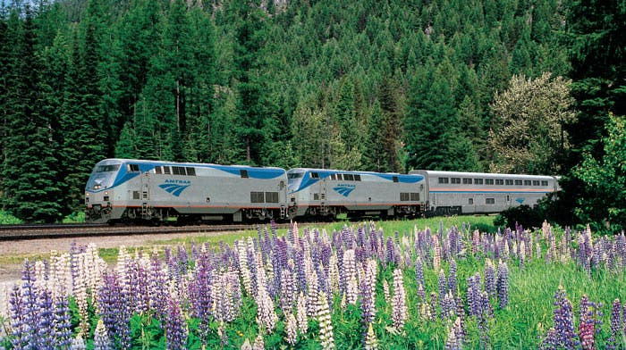 Amtrak-LongDistanceTrain-Lupine-PNW_courtesy_700 An Amtrak long-distance train travels through the lush forests and wildflower meadows