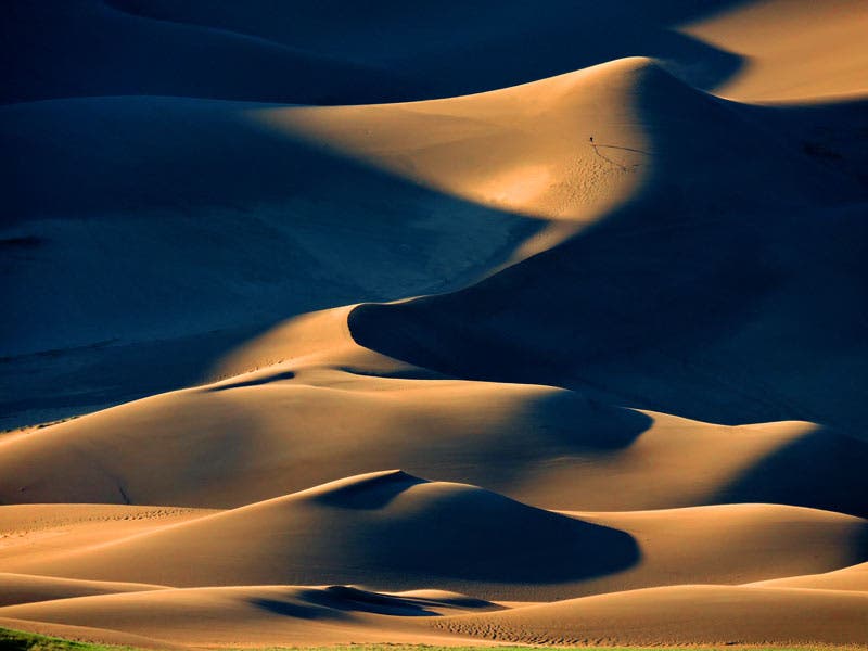 GSandDunes-Hiker_TamPatrickMyers_800 Hiker high on the dunes in Great Sand Dunes National Park