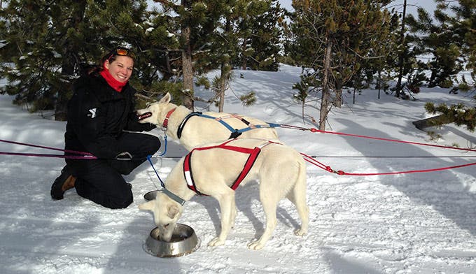 SnowMtnRanch-AmentiyWedersterandt-feeds-dogs_ToriPeglar_680 Snow Mountain Ranch dog sled helper Amenity Wederstarndt feeds the dogs on their snack break. The dogs lead people on 10-minute tours on the ranch's…