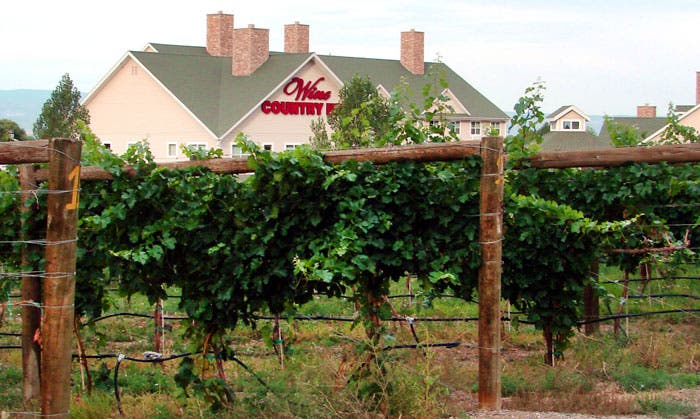 CO-Palisade-WineCountryInn_FlickrDonGraham_700 Wine Country Inn in Palisade, Colorado