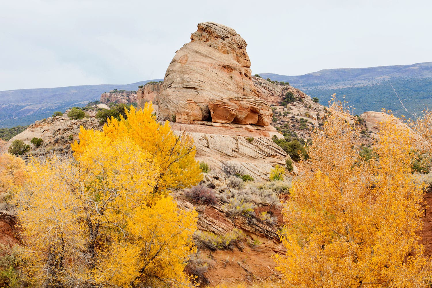 Elephant Toes Butte in Autumn in Dinosaur National Monument