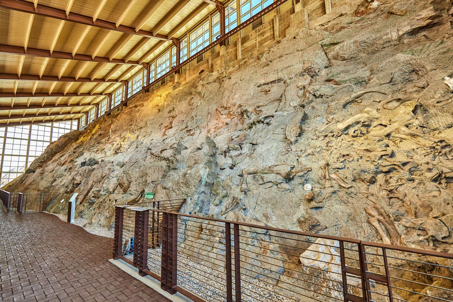 Dinosaur National Monument's Wall of Bones showcases dinosaur fossils still half buried in stone at a mass dinosaur grave