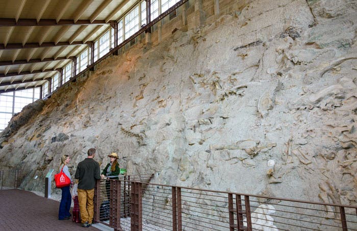 DinosaurNM-WallOfBones_DPeditorial_700 The Wall of Bones inside the Quarry Exhibit Hall at Dinosaur National Monument