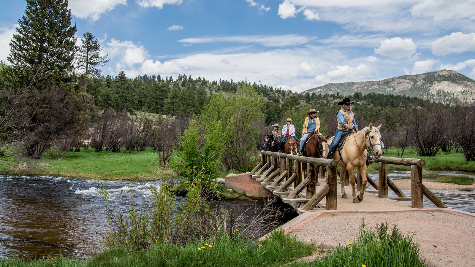 Horse trail rides on Fern Lake Trail in Rocky Mountain National Park