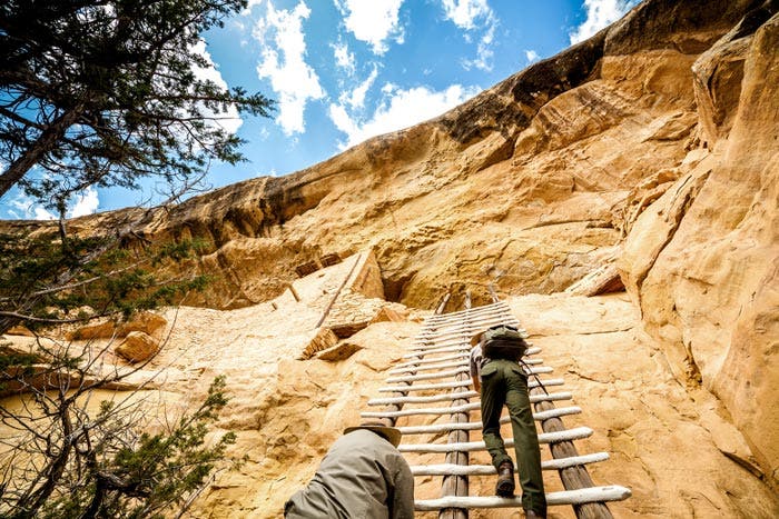 A park ranger leading visitors up the 32 ft. ladder to Balcony House