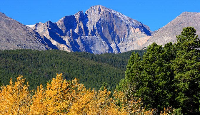 Longs Peak in autumn with golden aspen trees