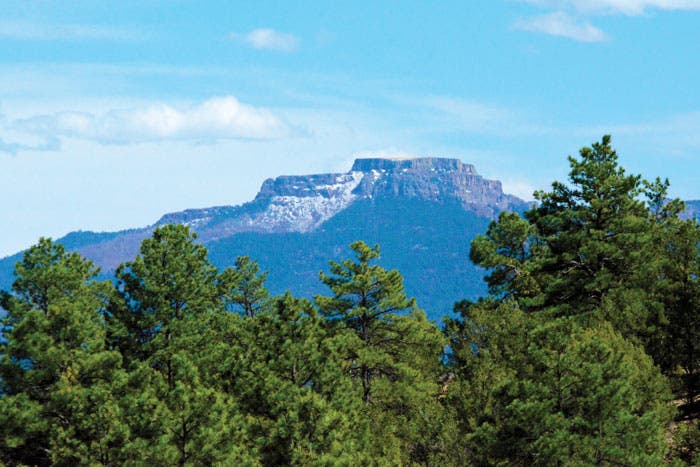 Fisher's Peak near Trinidad