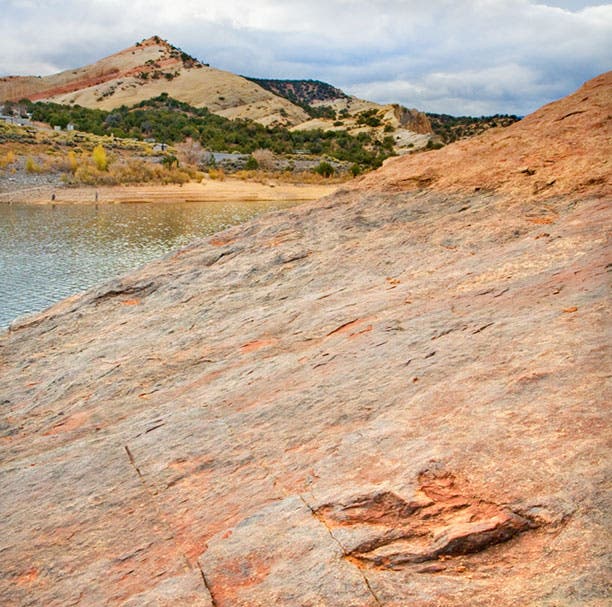 UT-Red-Fleet-SP-Dinosaur-Track_KimBarton_UintahCountyTravelAndTourism_612x607 Dinosaur track at Red Fleet State Park in Utah