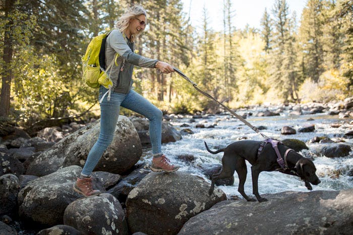 Hiking a dog-friendly trail outside of Rocky Mountain National Park