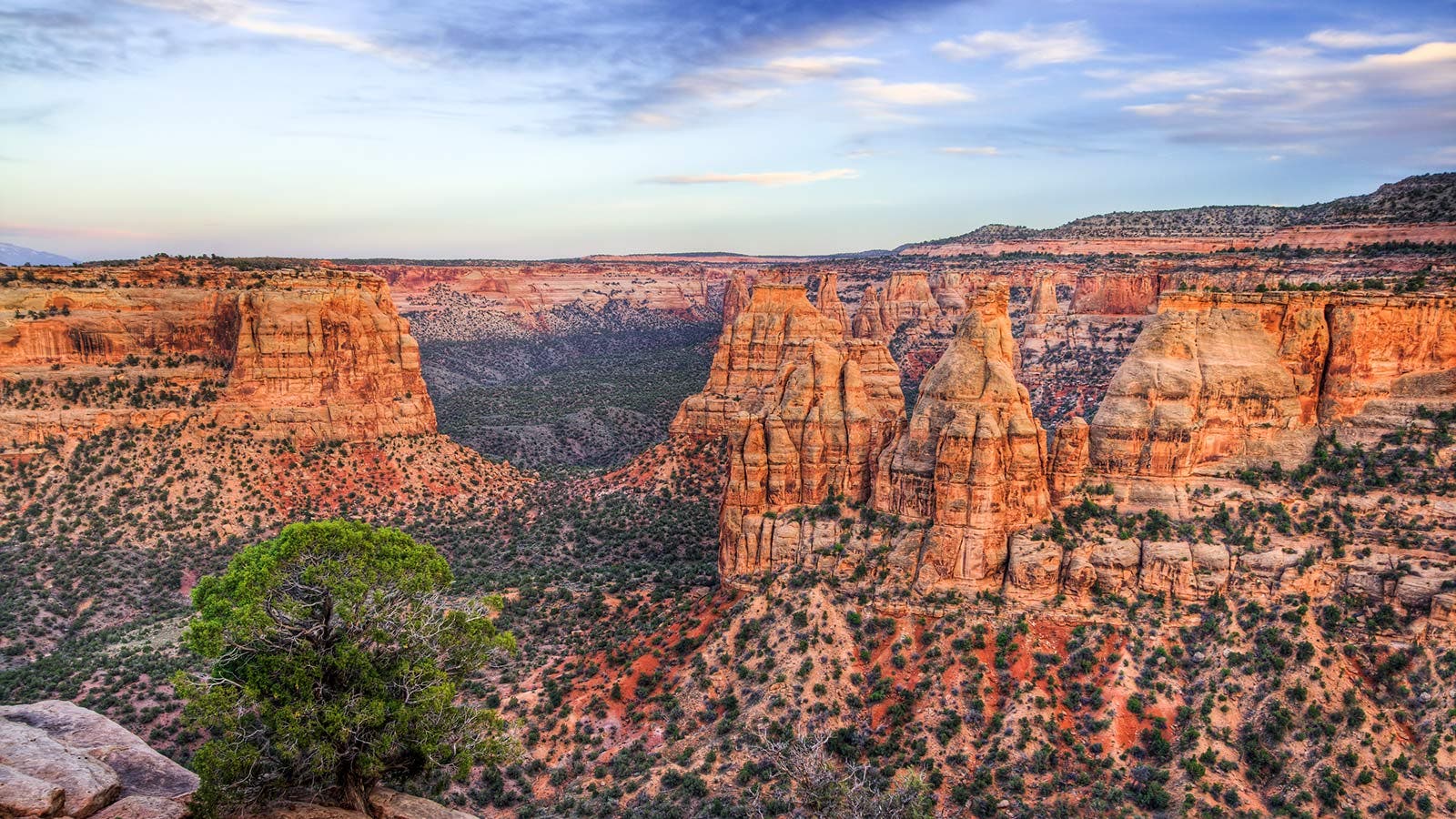 Panorama of Colorado National Monument