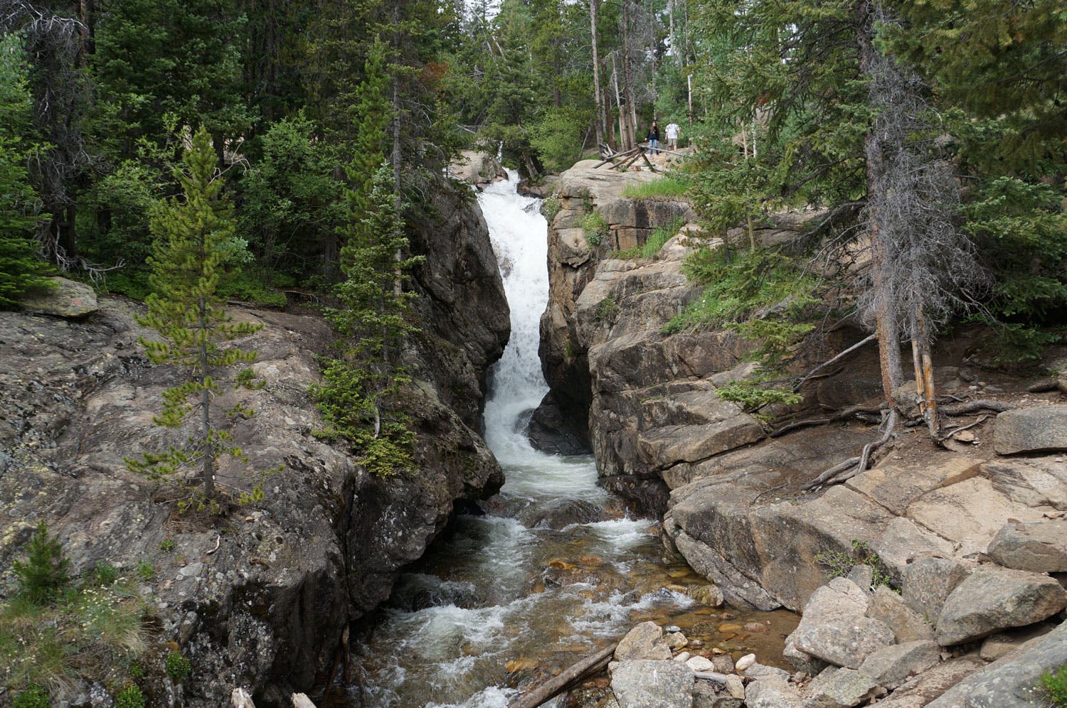 Chasm Falls off of Old Fall River Road