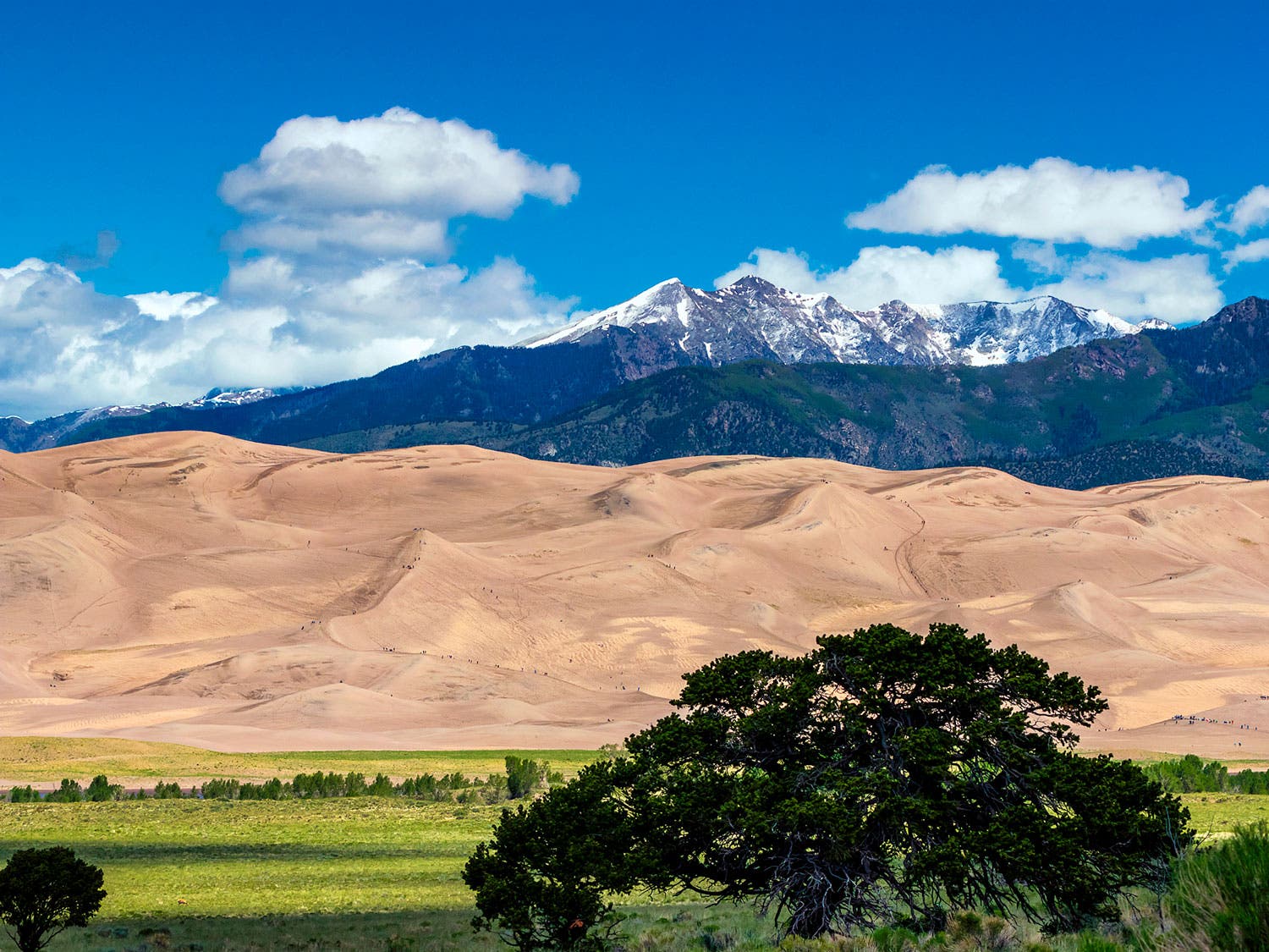Great Sand Dunes National Park