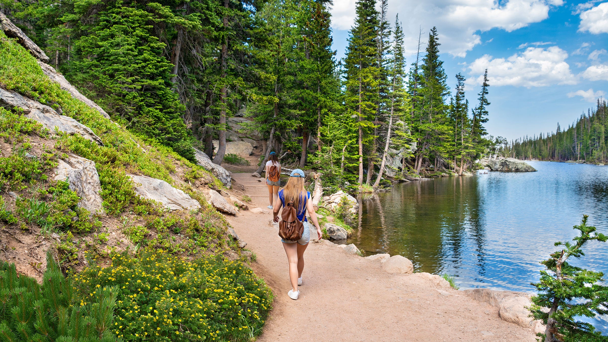 Mosca Pass: Hike Through a Forest at Great Sand Dunes