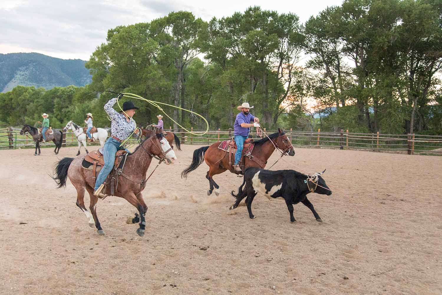 Wranglers hard at work at Vee Bar Guest Ranch