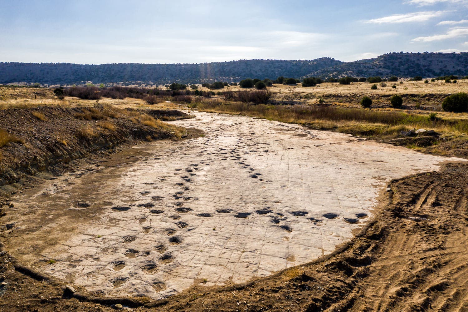 Dinosaur tracks at Comanche National Grasslands