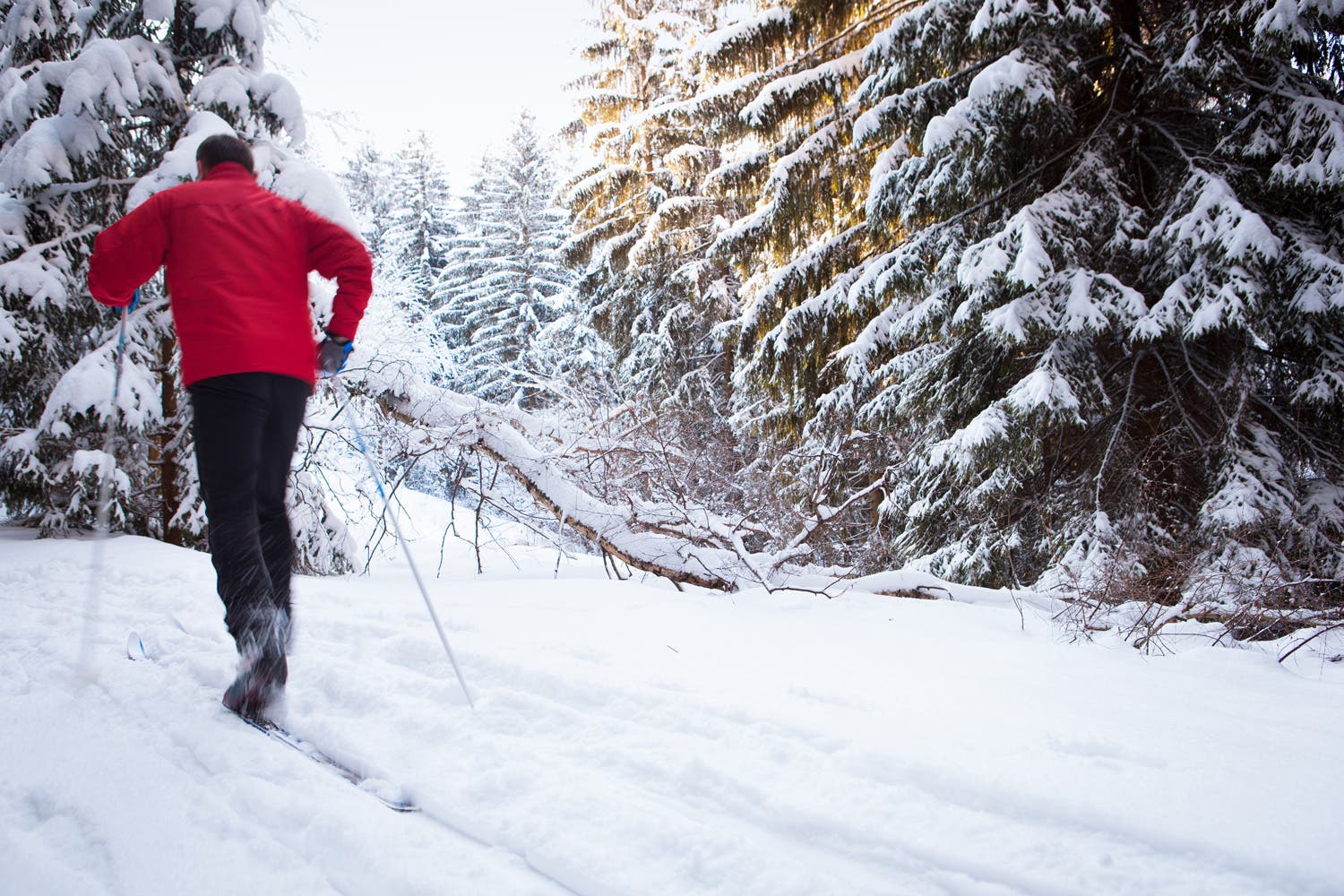 Try cross country skiing during winter in Rocky Mountain National Park