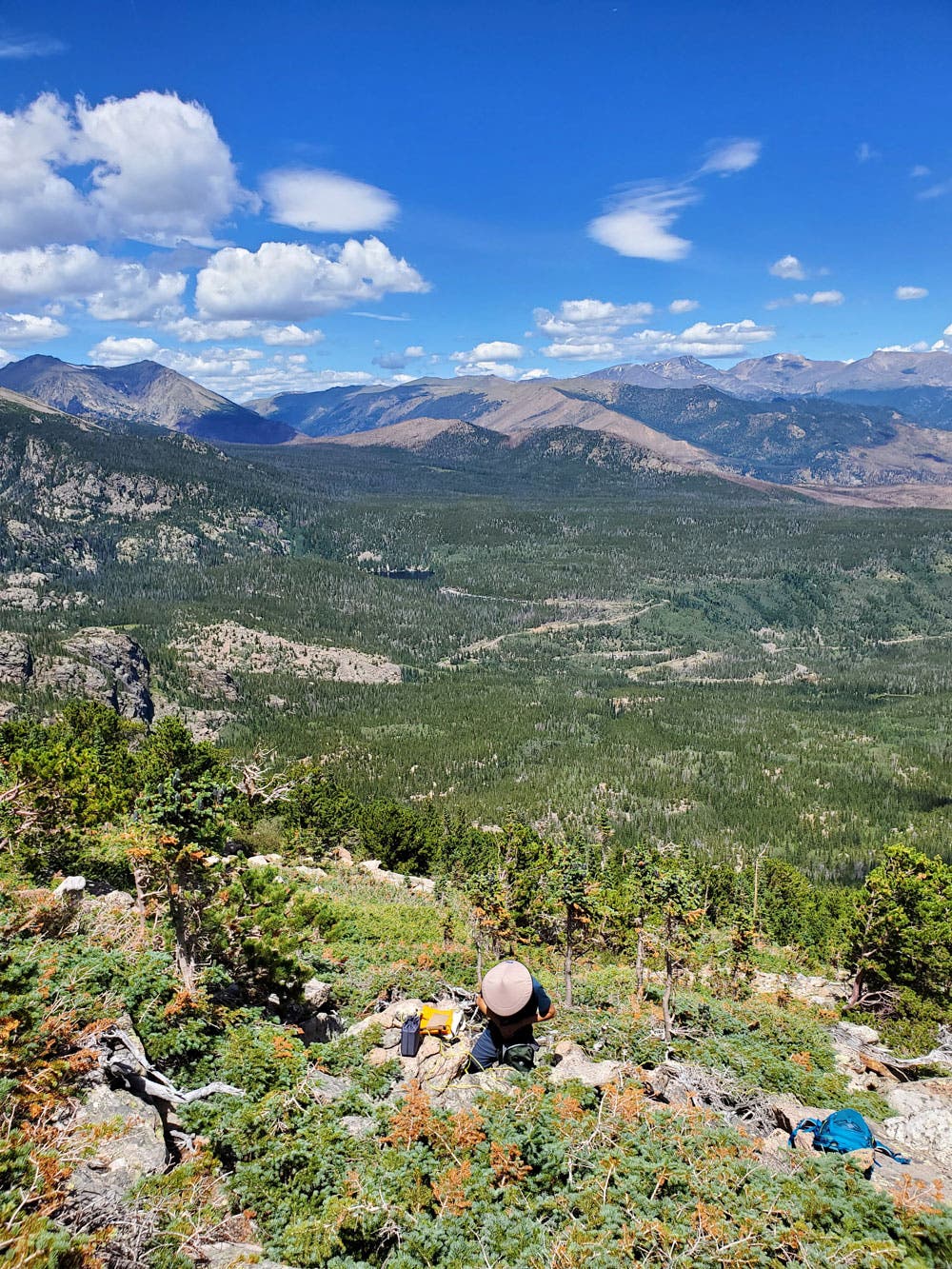 Colorado Pike Project volunteer in Rocky Mountain National Park