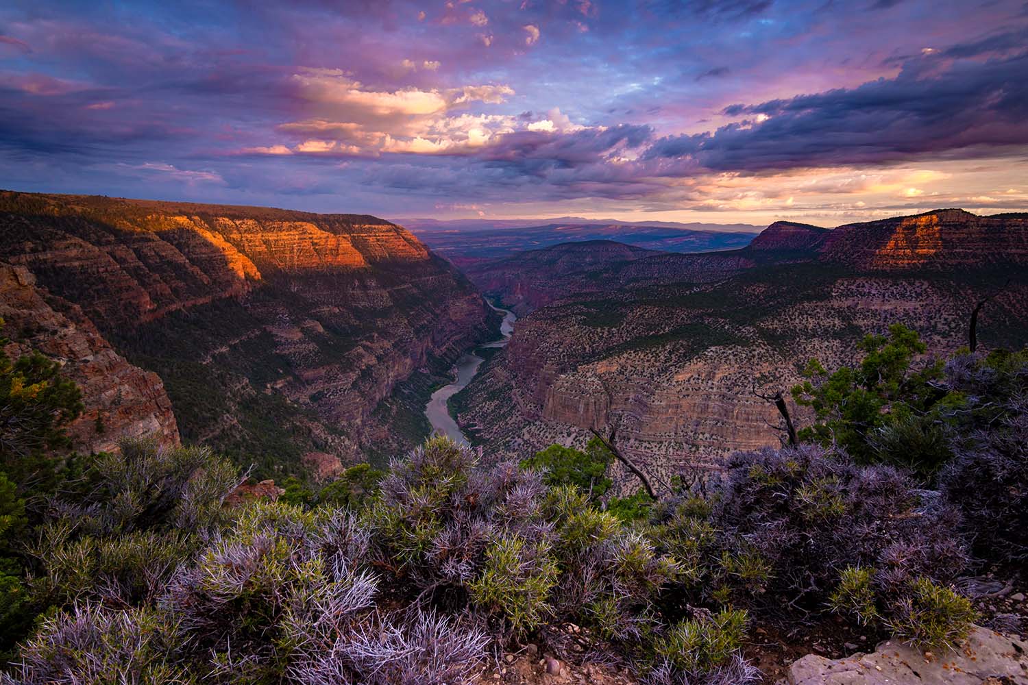 Harper's Corner Overlook at sunrise