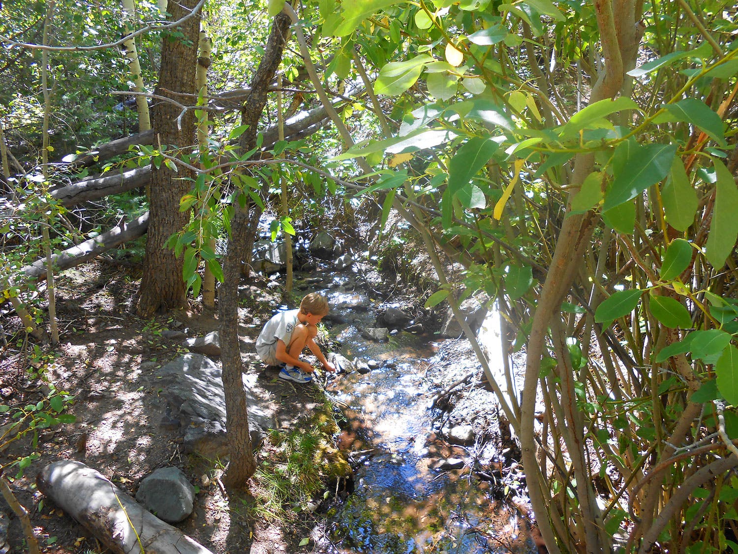 Exploring Mosca Creek on the Montville Trail on the way to Mosca Pass