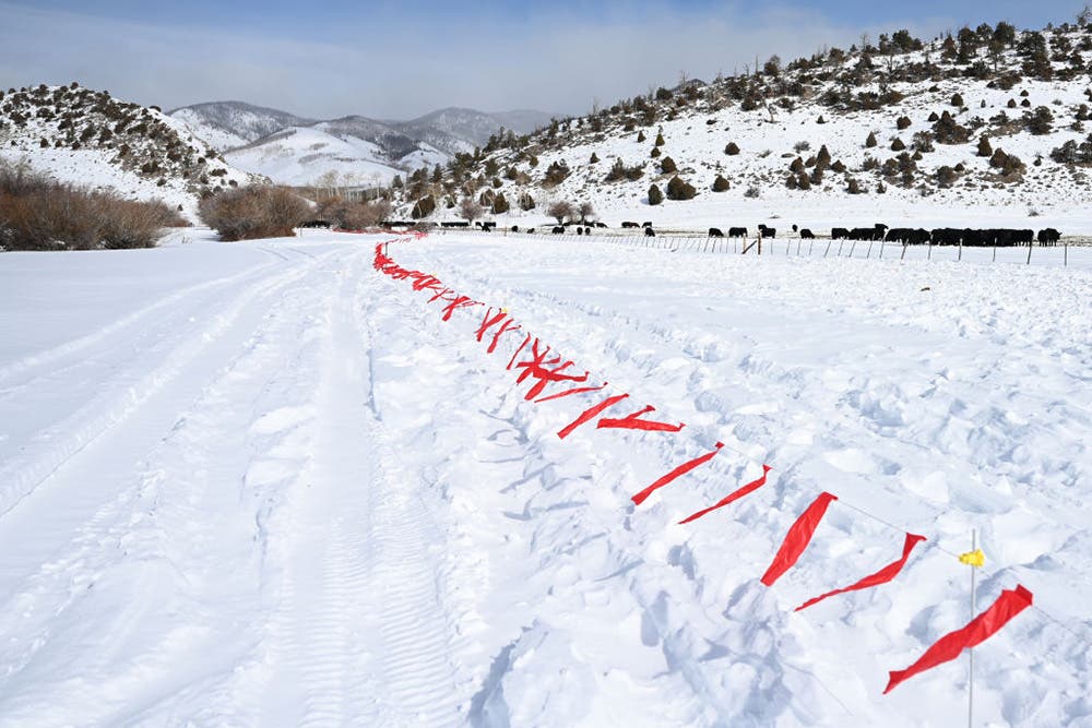 Flandry used to protect livestock in Walden, Colorado