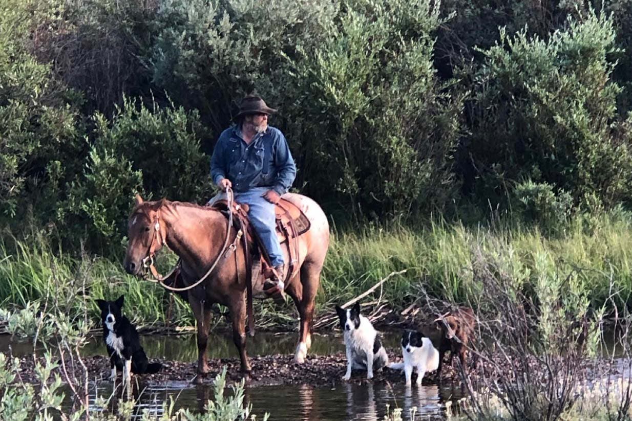 Greg Sykes riding with his dogs