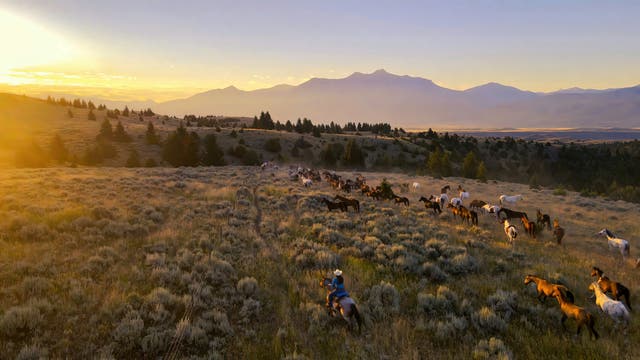 Rocky Mountain National Park to Yellowstone Road Trip