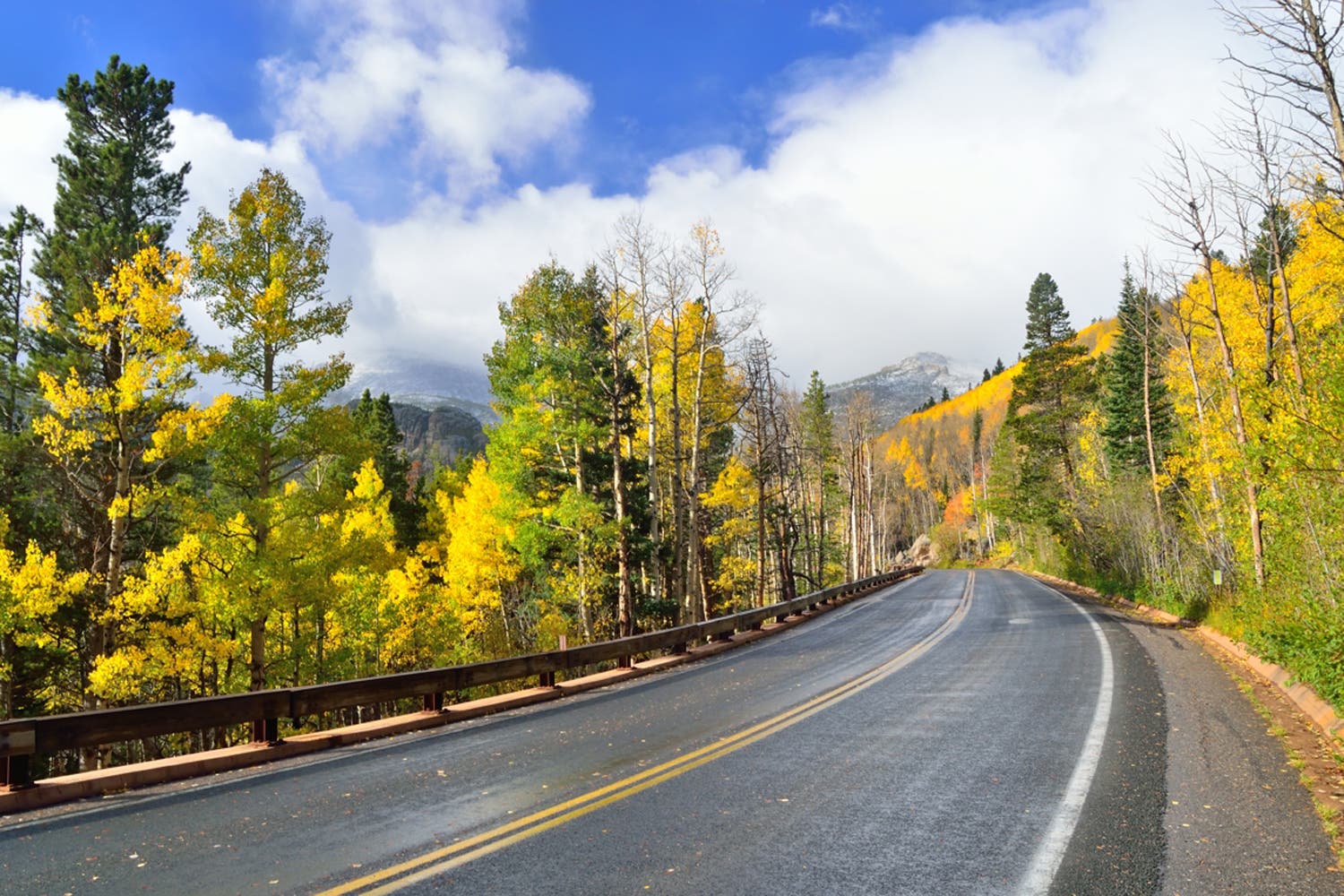 Colorful aspens along Bear Lake Road in the fall