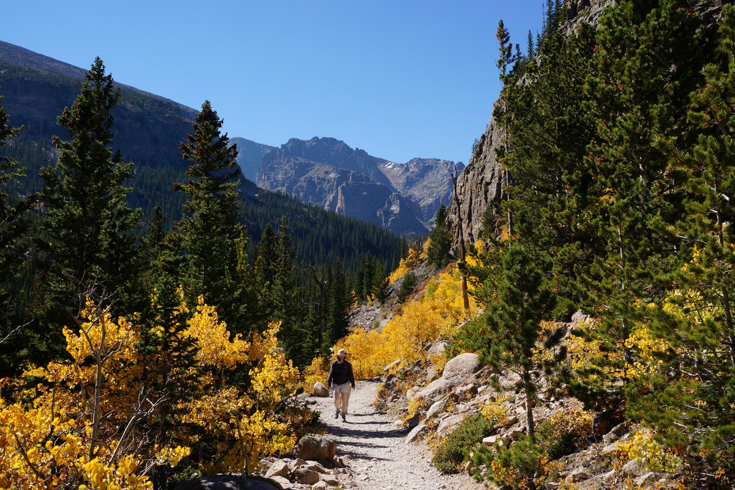 A hiker passes through fall colors in Rocky Mountain National Park on the Glacier Gorge trail