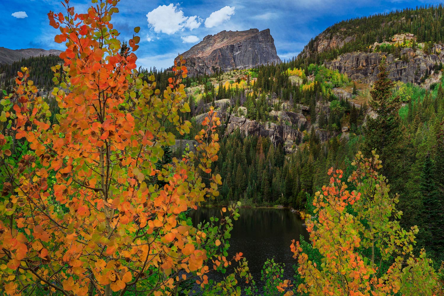 A full range of fall colors in Rocky Mountain National Park