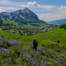 This panorama was taken in Crested Butte in summer